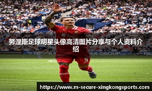 xingkongsports